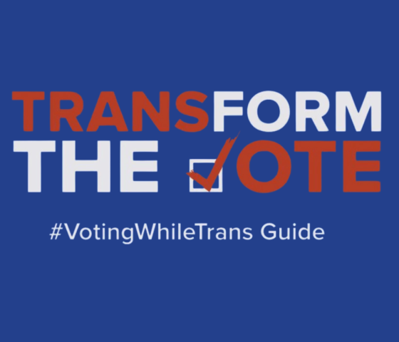 TransForm the Vote graphics