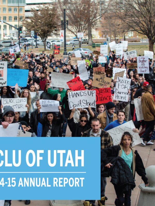 annual report, 2015