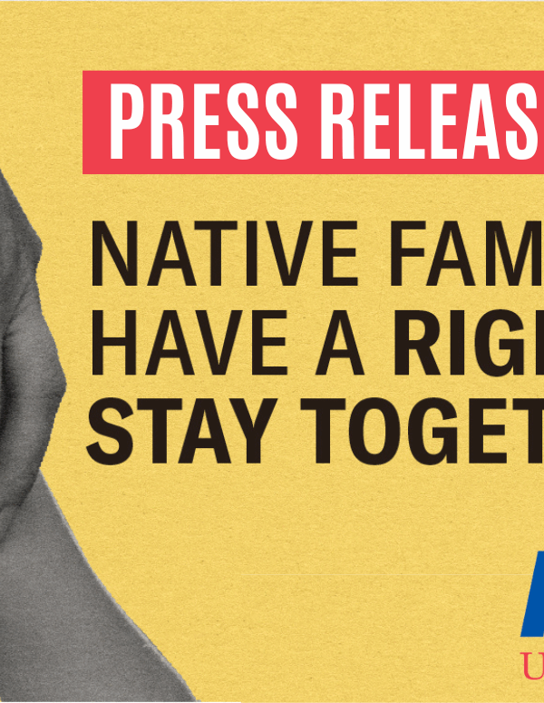 Graphic for press release on amicus brief for Brackeen v. Haaland