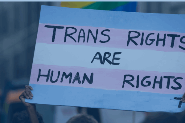 Header graphic of a sign reading Trans Rights are Human Rights.