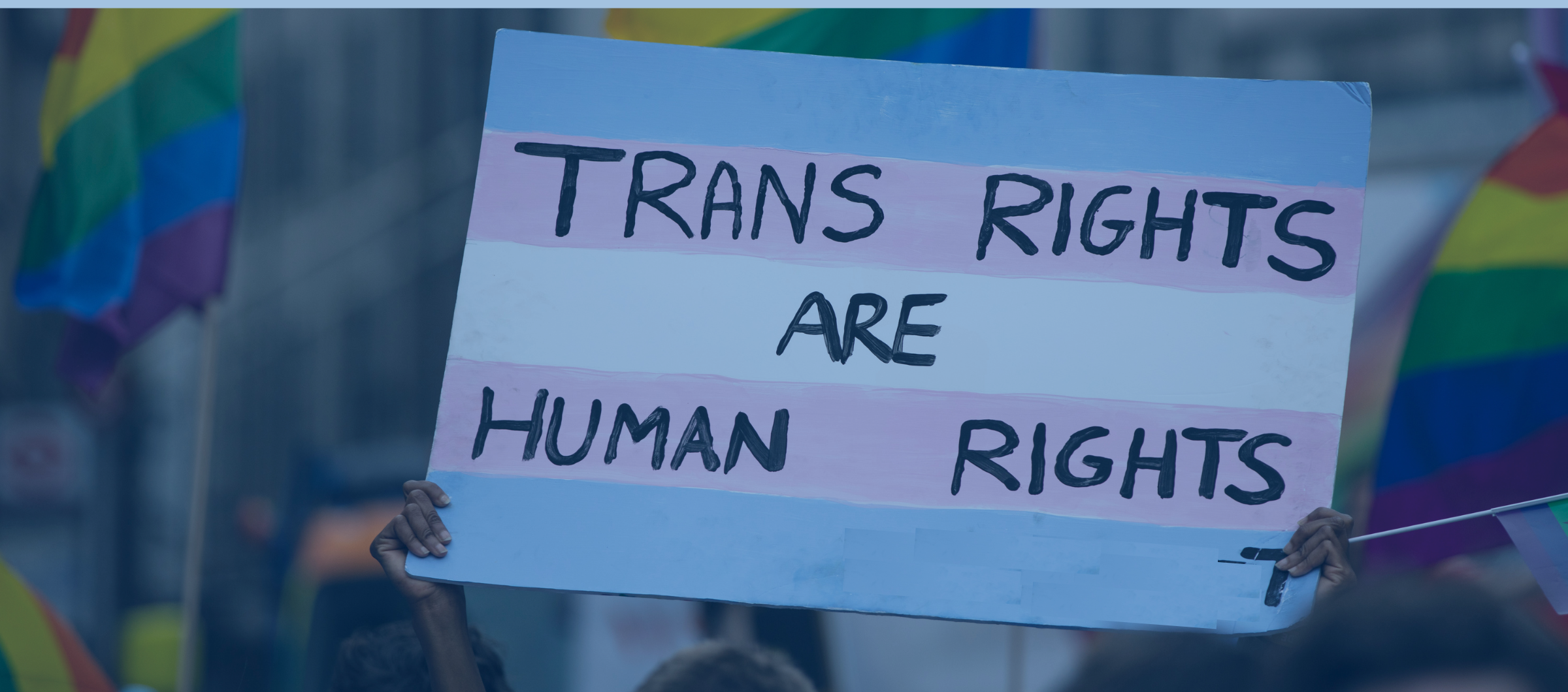 Header graphic of a sign reading Trans Rights are Human Rights.