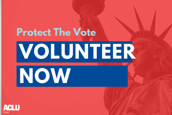 Protect the vote