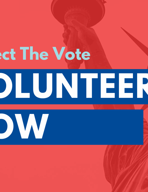Protect the vote