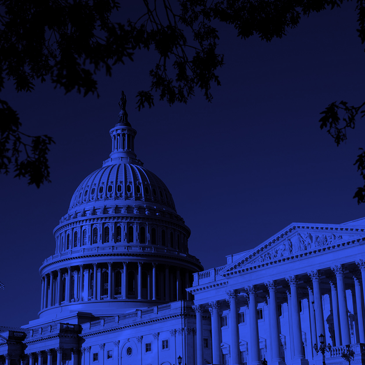 Picture of the Capitol.
