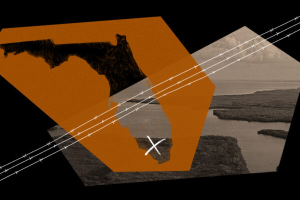 graphic for aclu message action against "Aligator Alcatraz".