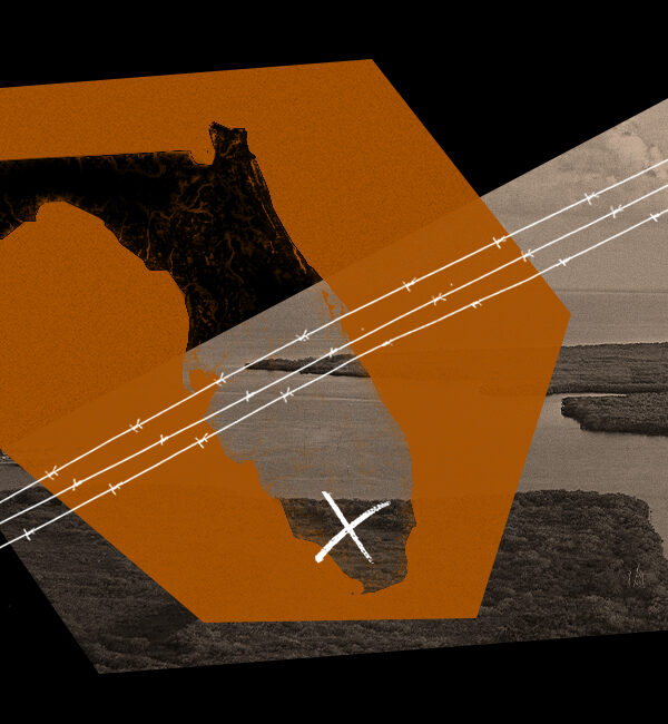 graphic for aclu message action against "Aligator Alcatraz".