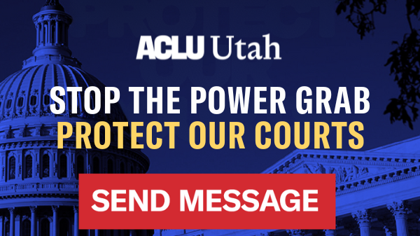 Message action graphic saying stop the power grab protect our courts.