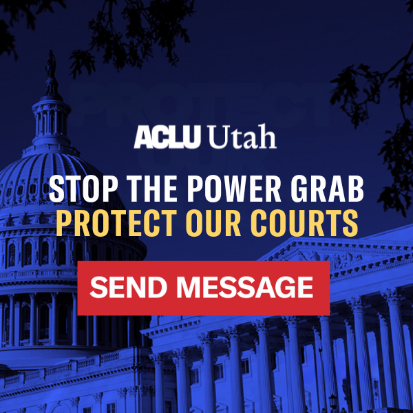 Message action graphic saying stop the power grab protect our courts.
