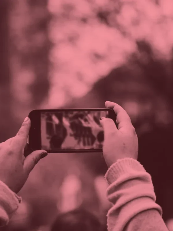 Hands holding a phone, taking a picture