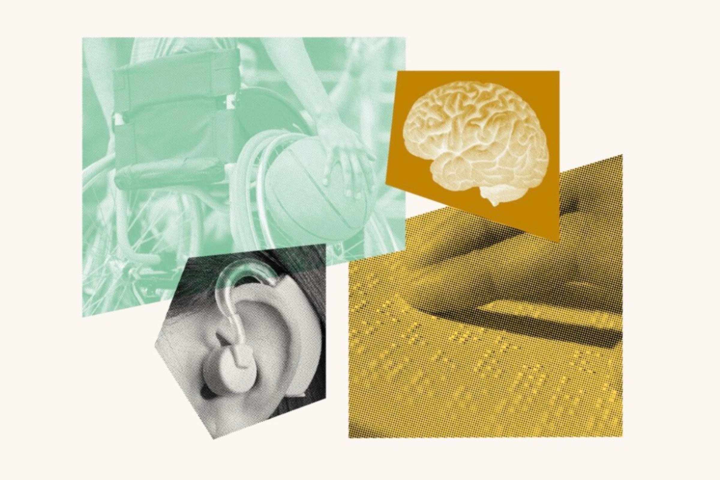 Photos representing Disability Rights