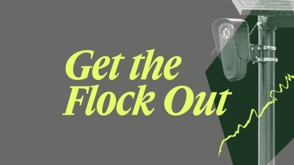 Gray background with the words "Get the flock out" and a flock camera image.