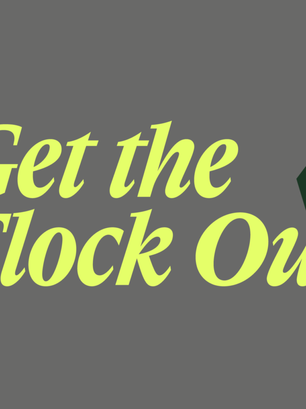 Gray background with the words "Get the flock out" and a flock camera image.