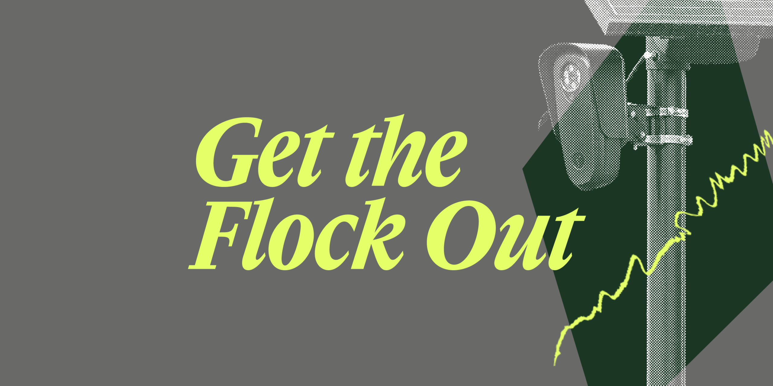 Gray background with the words "Get the flock out" and a flock camera image.