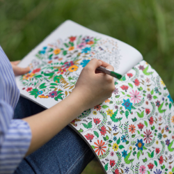 image of someone with a coloring book and colored pencil 