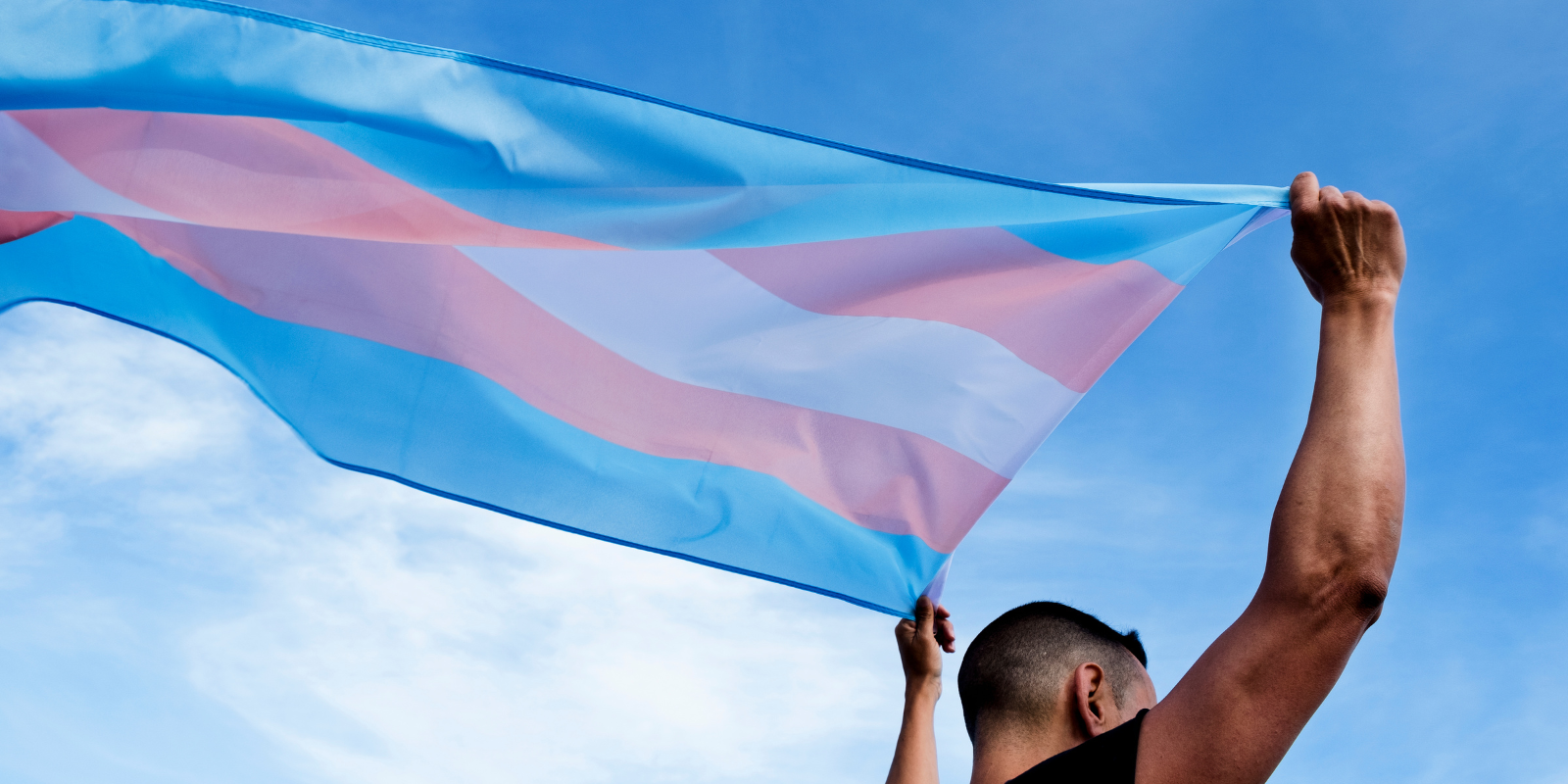 Photo of the transgender pride flag being held by a person.