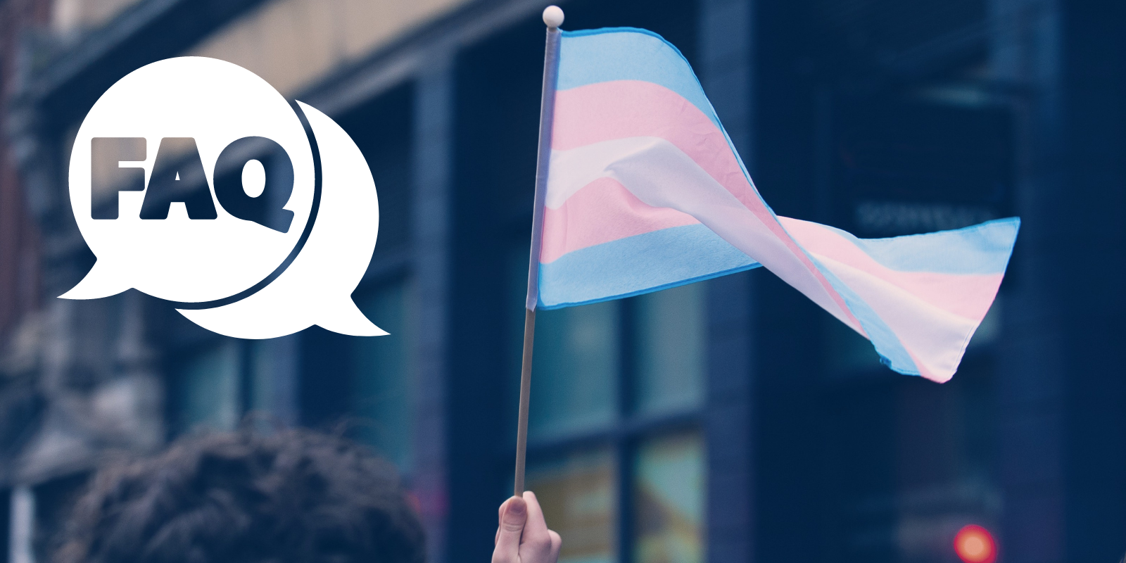 Photo for FAQ with a FAQ speech bubble next to a transgender flag.