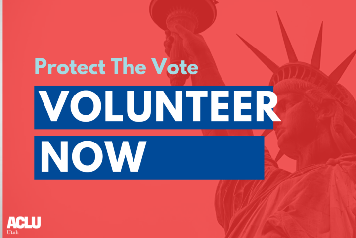 Protect the vote