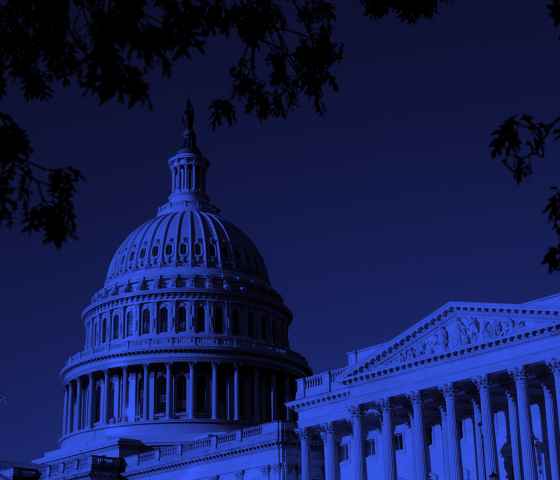 Capitol Building with blue overlay.